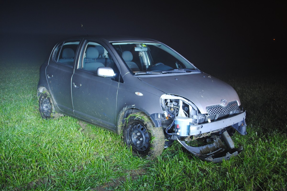 Siblingen SH - Tier ausgewichen und verunfallt