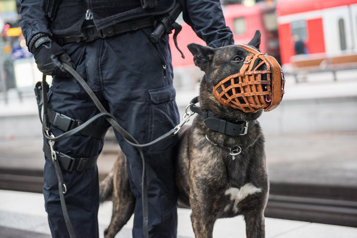 Saalfeld – Verweis aus Zug wegen großem Maulkorb