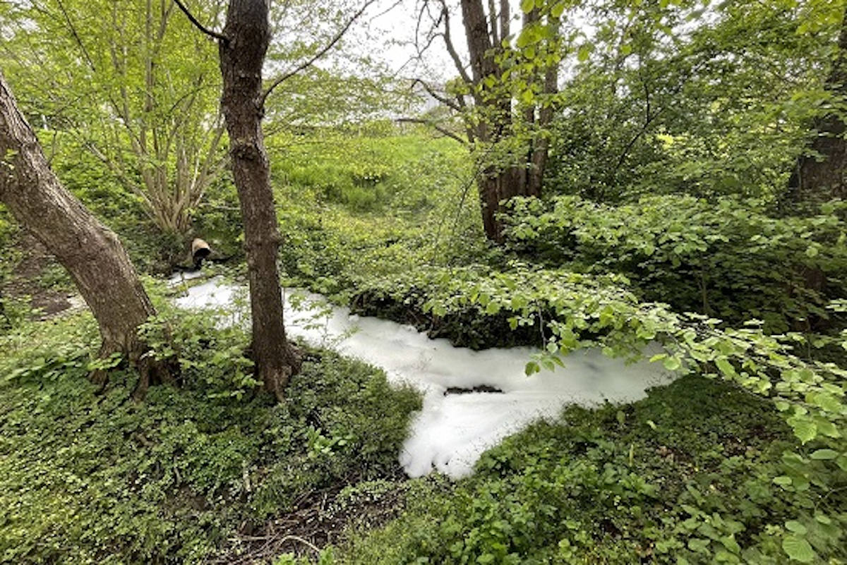 Villars-sur-Glâne FR – Verschmutzung des Croset-Bachs nach Brand
