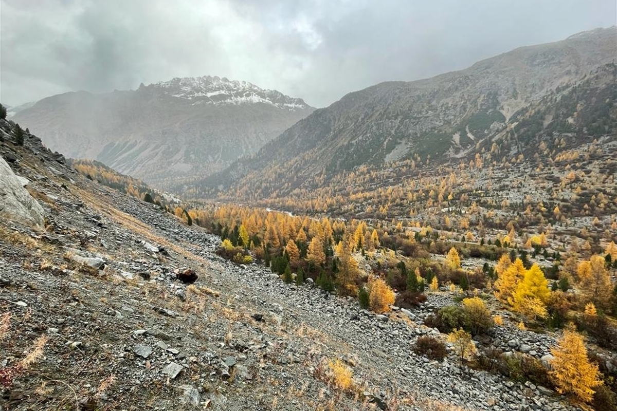 Pontresina GR - 65-jähriger Vermisster tot aufgefunden 