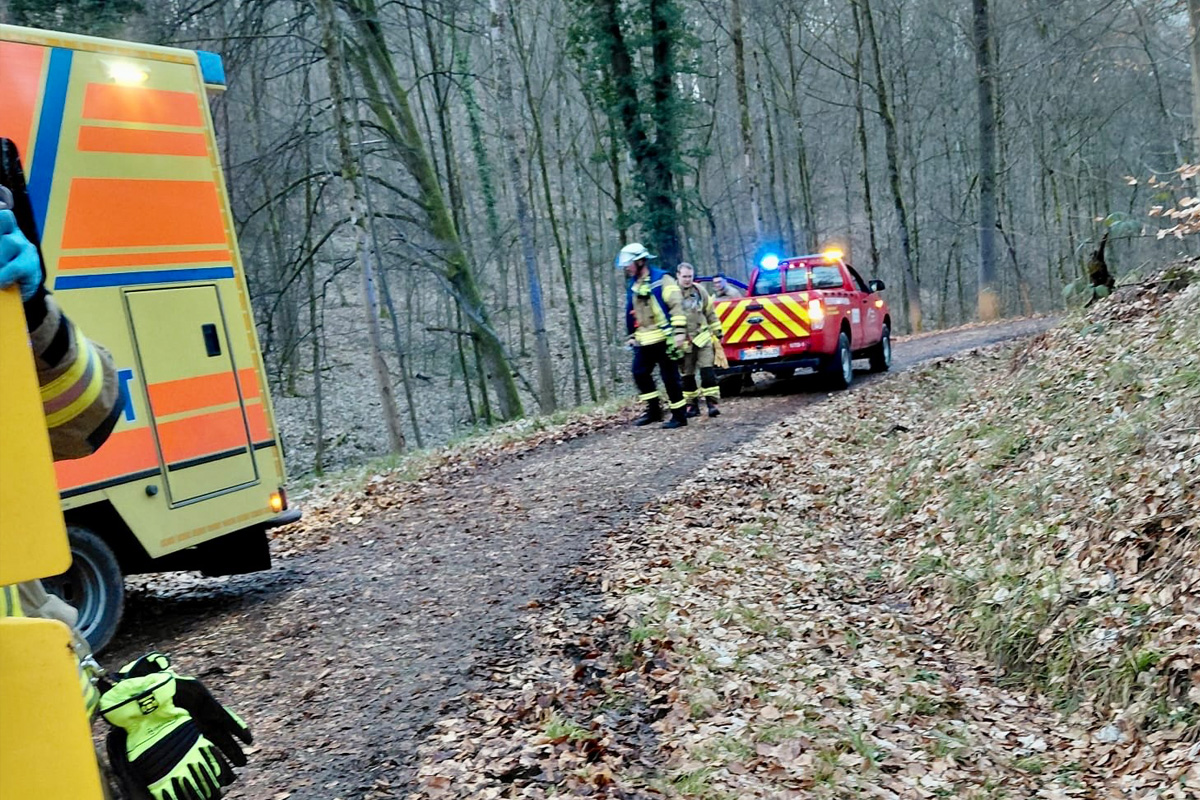 Weinheim – 16-jährige Reiterin bei Sturz im Wald schwer verletzt