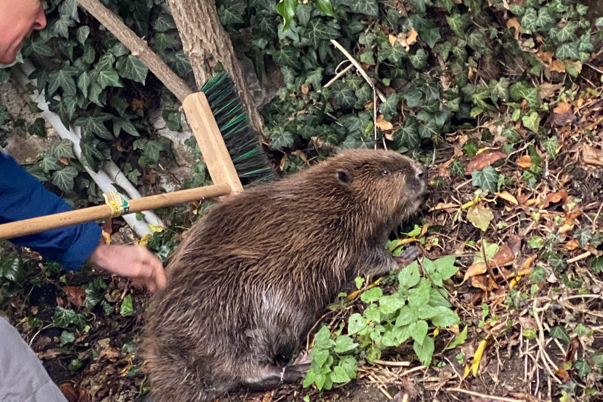 Fulda – Polizeilicher Bibereinsatz mit Schulpfarrer Bieber