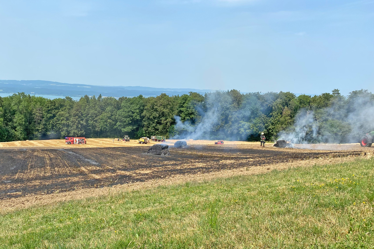 Steckborn TG - Brand einer Ballenpresse greift aufs Feld über