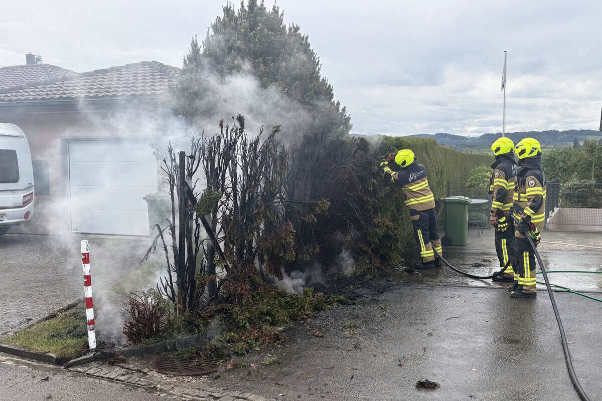 Züberwangen SG – Hecke fängt beim Abflammen Feuer