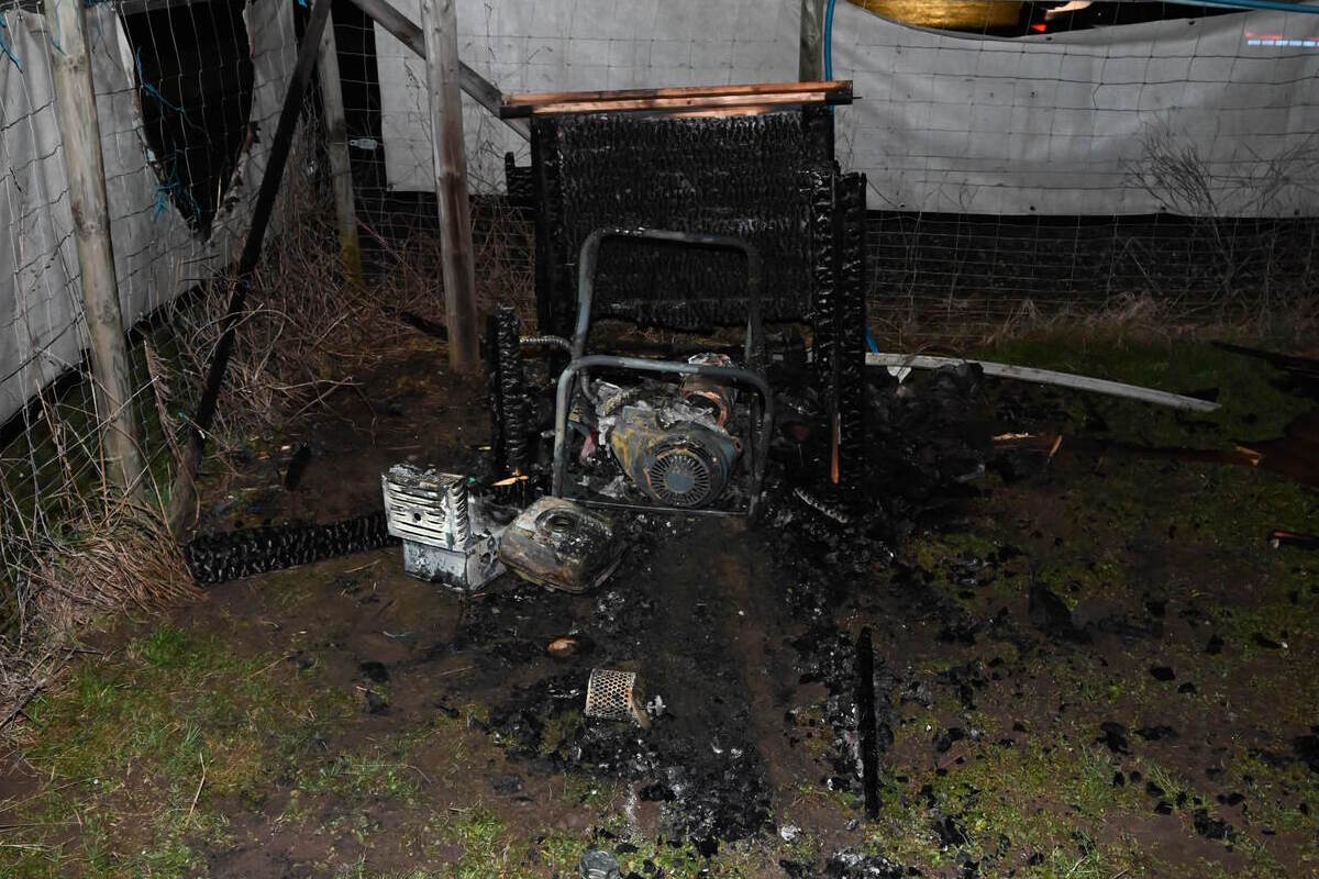 Brand an der Bachstrasse in Wil SG - Stromgenerator löst Feuer aus