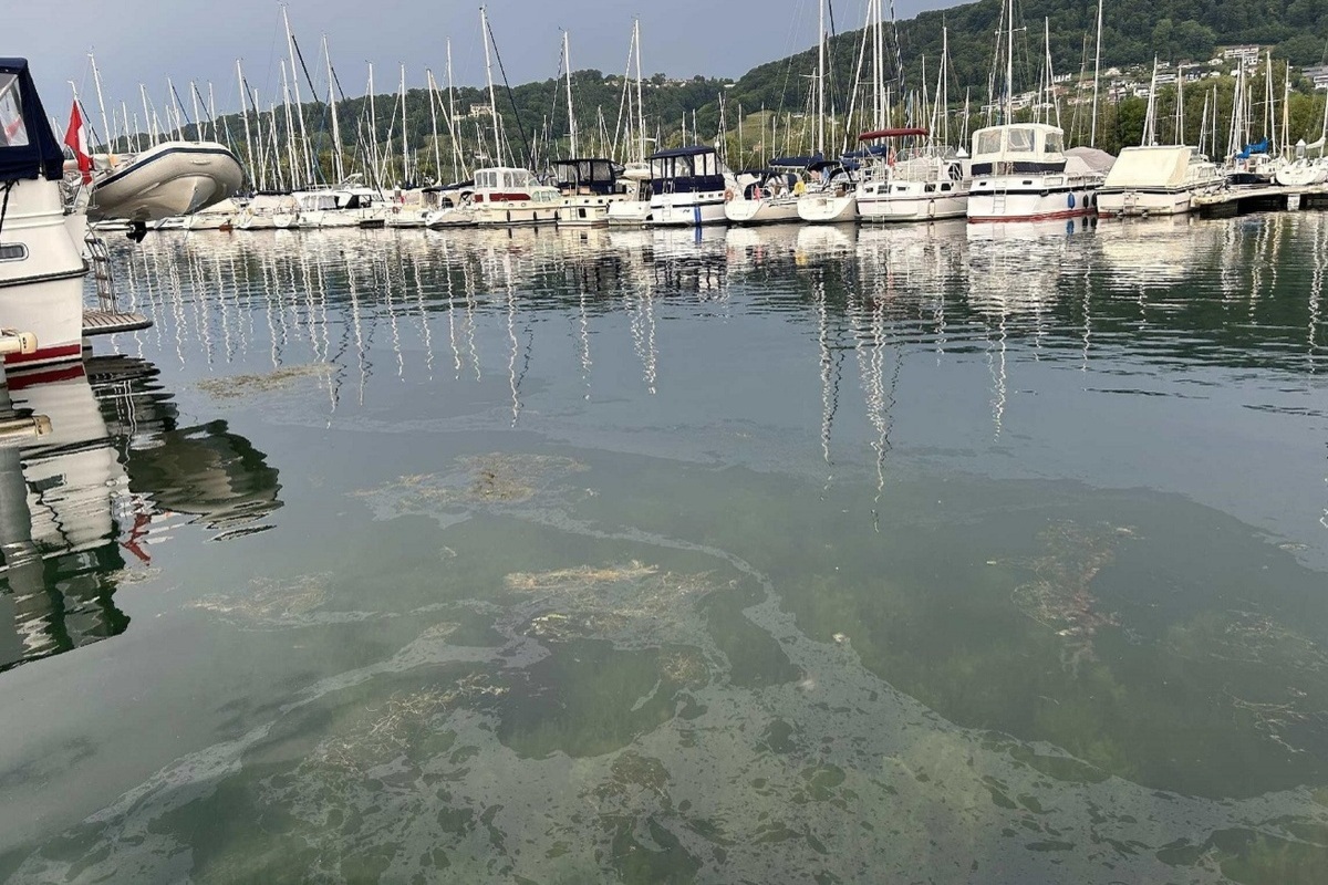 Cheyres FR - Öl im Neuenburgersee