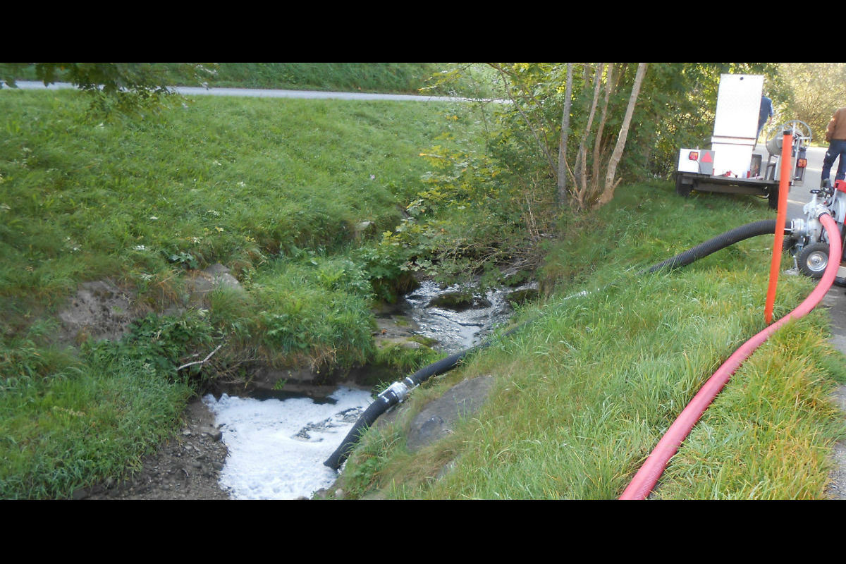 Schwellbrunn/Herisau AR - Unzählige Fische in der Glatt verendet