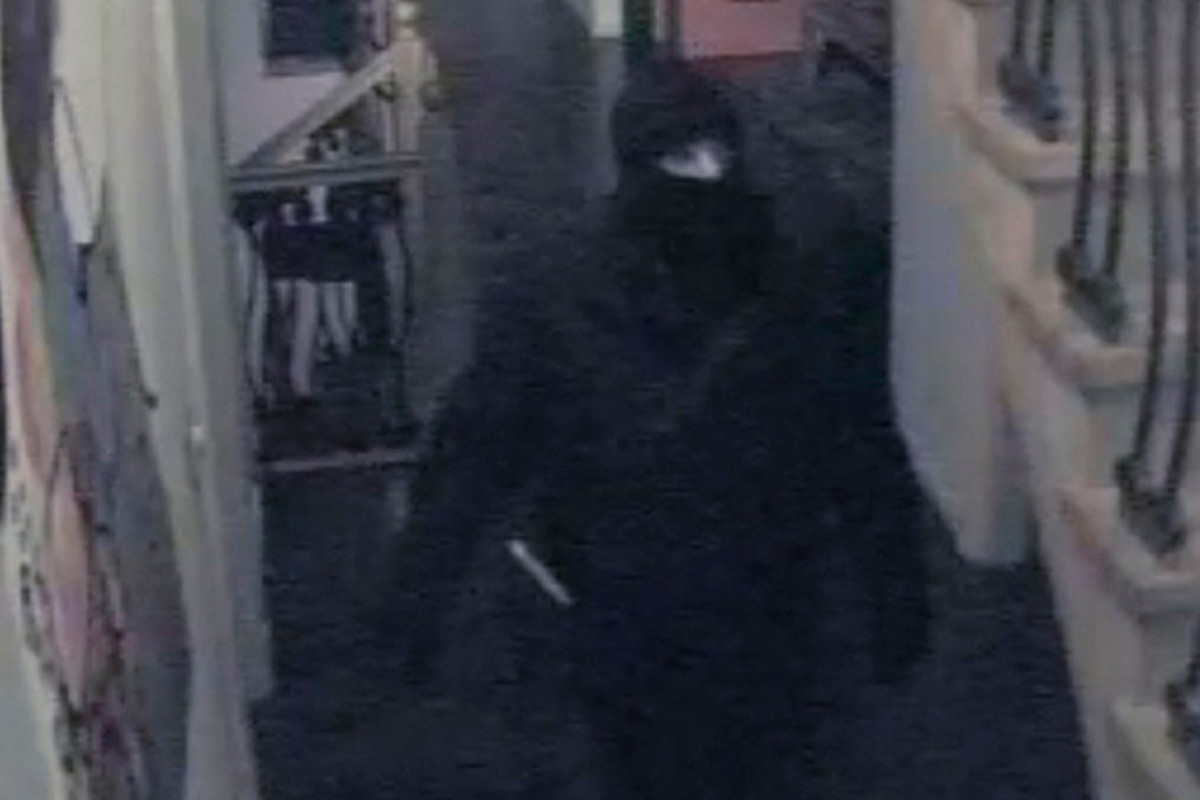 Cold Case – Der mysteriöse Millionen-Raub Schloss Ricklingen in Hannover