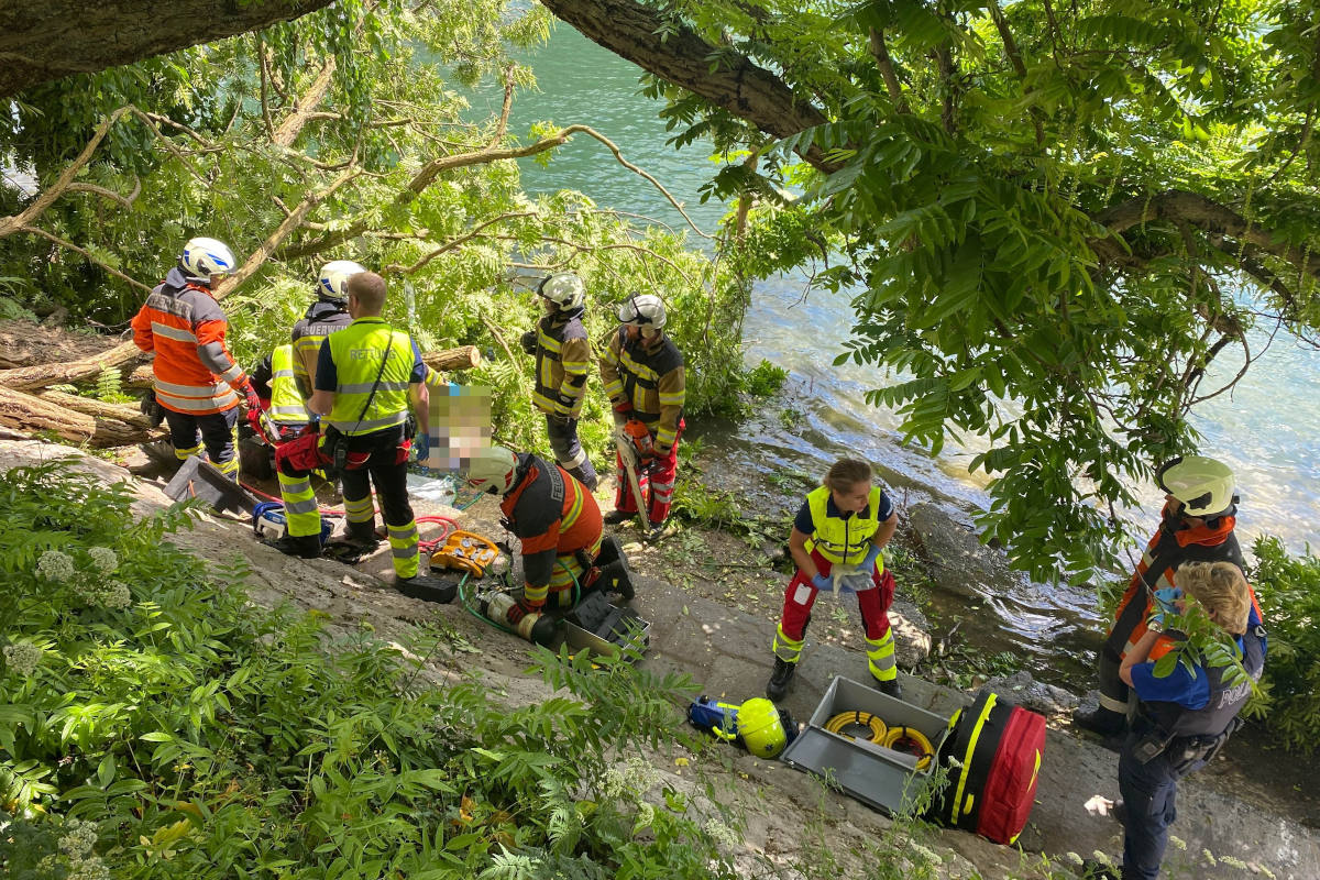 Olten SO – Frau wird durch umgestürzten Baum verletzt