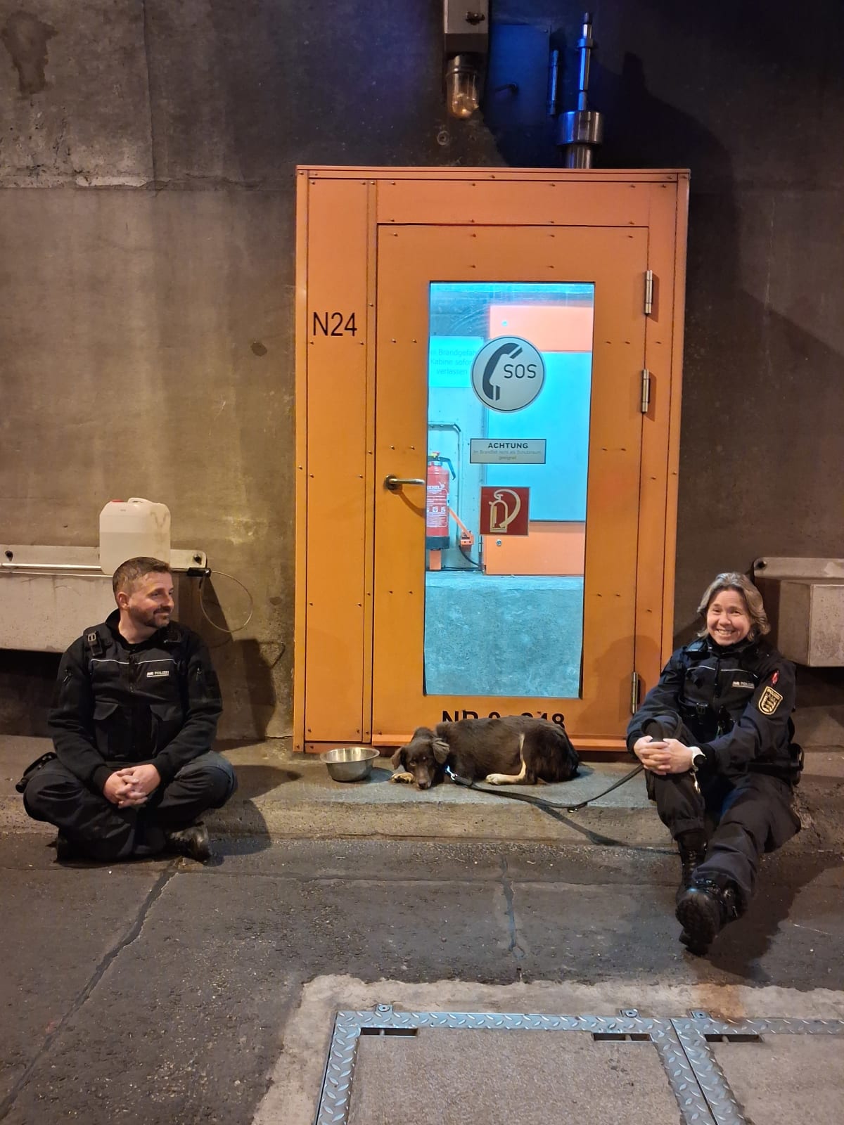 Baden-Baden – Polizei rettet entlaufenen Hund aus Straßentunnel