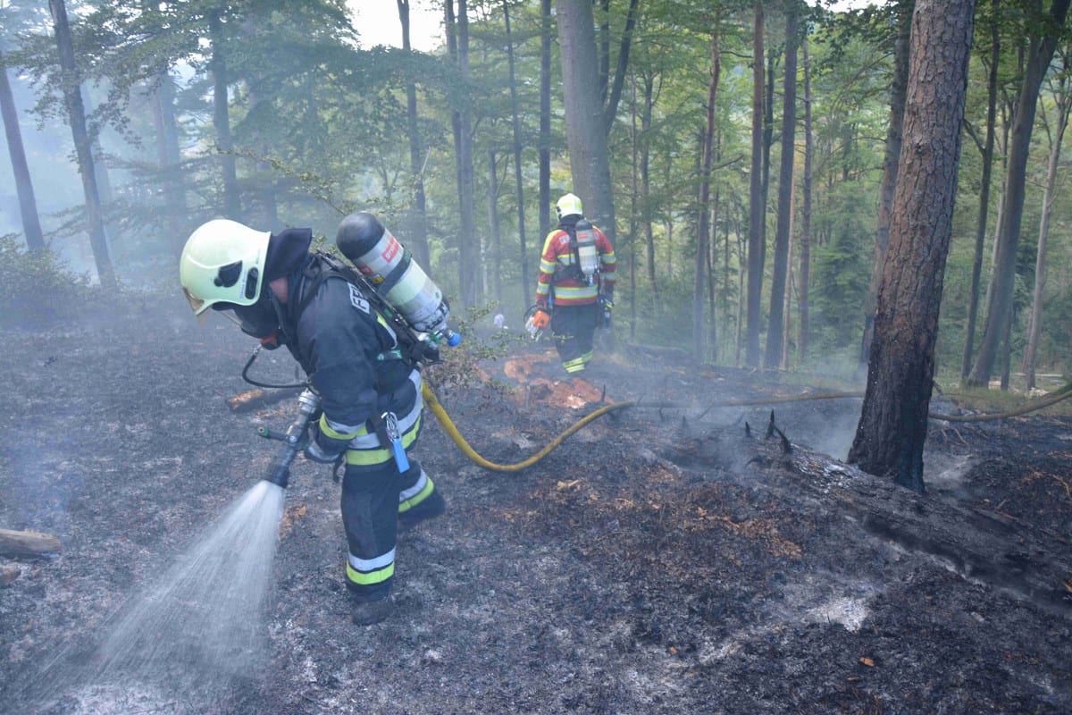 Waldbrand in Kleinlützel SO erfordert Feuerwehr-Einsatz 