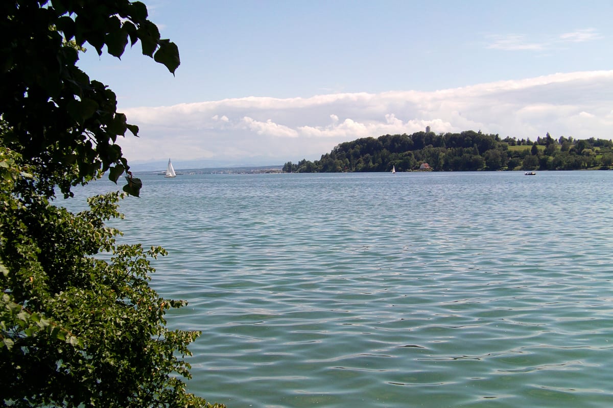 Wiedehorn: Mann im Bodensee vermisst