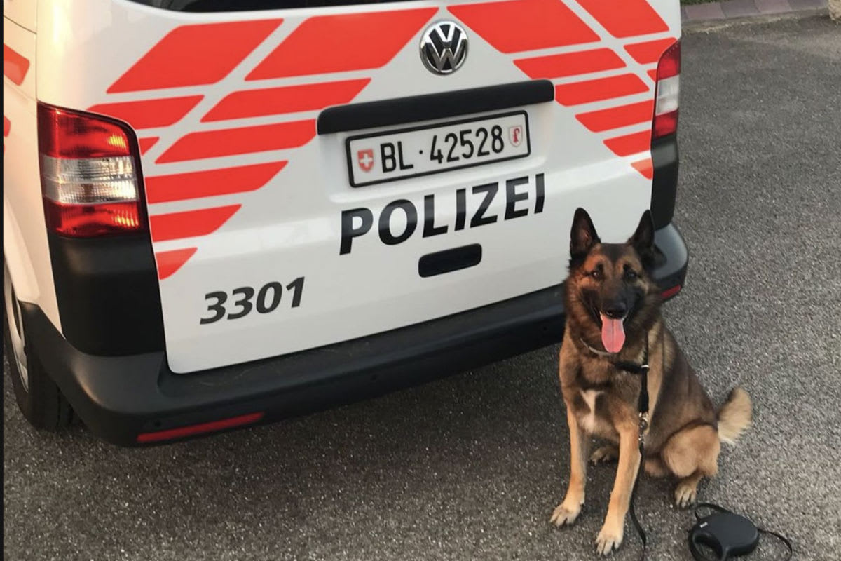 Liestal/Aesch BL – Polizei lädt zur Hundeprüfung 2025 ein