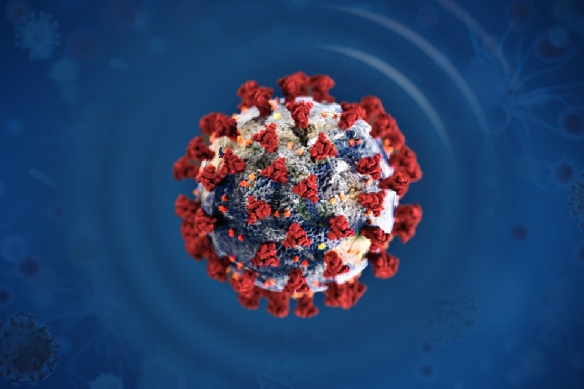 Fakten & Zahlen zum Coronavirus im Kanton Solothurn -  Bevölkerung akzeptiert Kontrollen zum grossen Teil