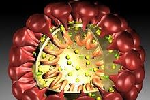 Coronavirus im Kanton Solothurn – Unterstützung für Spitäler verlängert