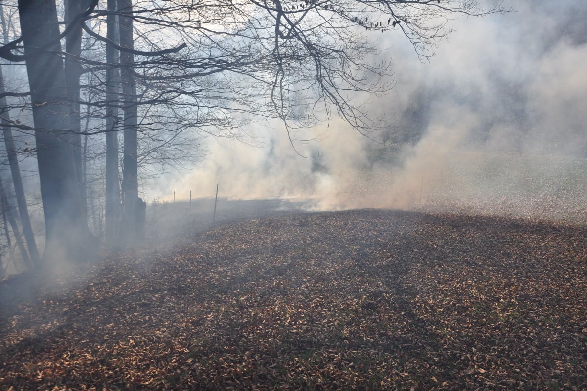 Waldbrand unterhalb der Froburg in Trimbach