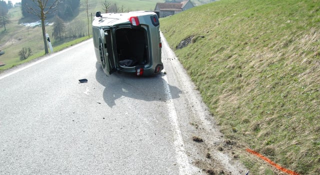 Trogen: 87-Jähriger verunfallt wegen Katze