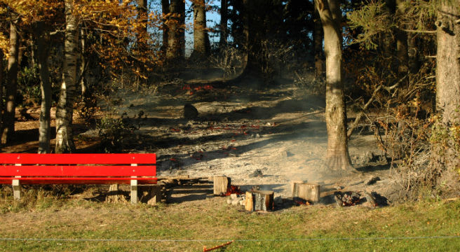 Wolfhalden: Unvorsichtiges Feuern entfacht Brand im Wald