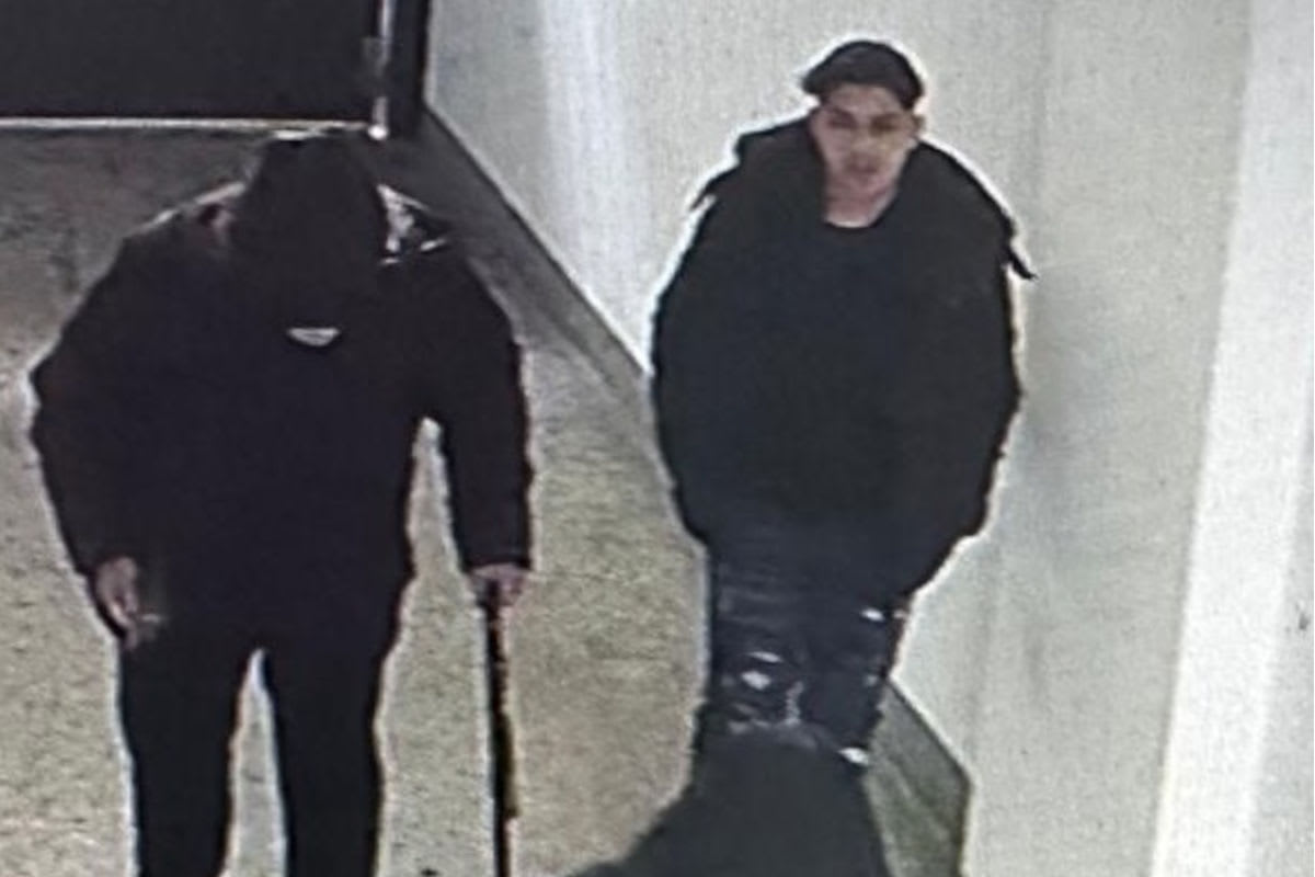 Öffentliche Fahndung in Wien – Schwerer Diebstahl aus Wohnung