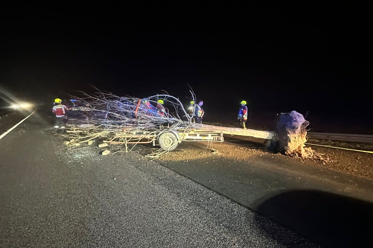 Mutterstadt - Bei Unfall verlorener Baum blockiert Autobahn BAB 61