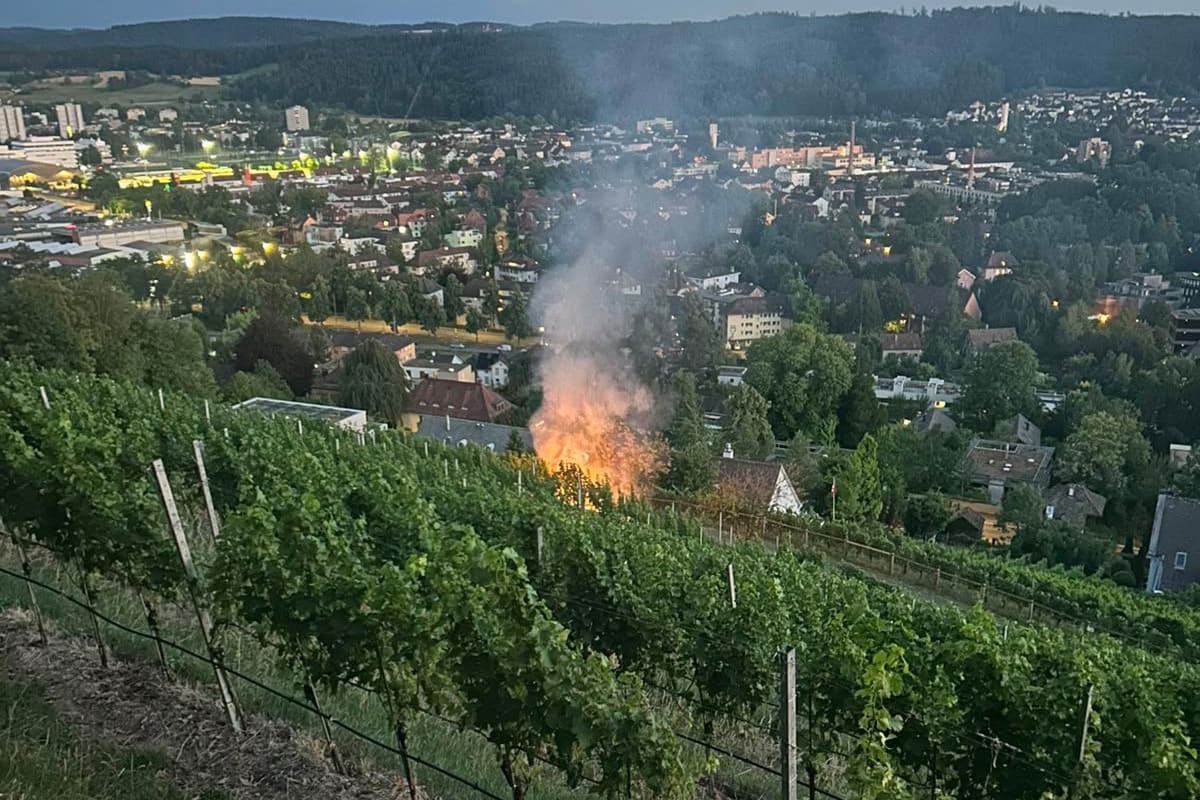 Winterthur ZH – Wiesenbrand von Passanten gelöscht