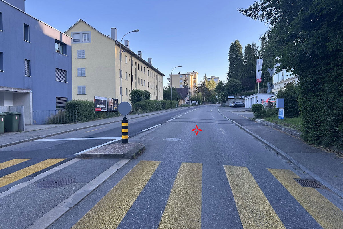 Neuhausen am Rheinfall SH – Chihuahua von Motorrad überfahren und gestorben