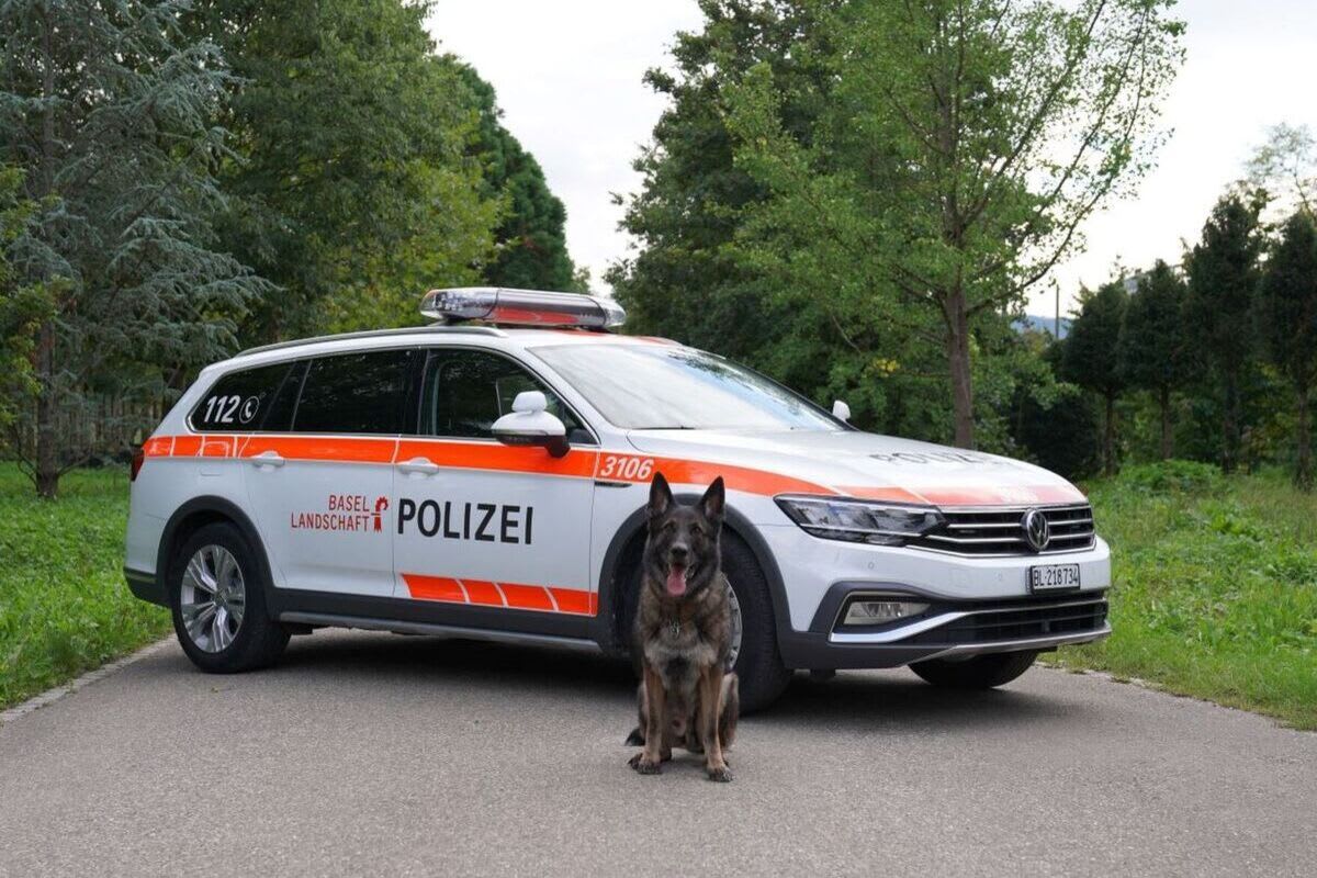 Liestal BL - Einbrecher dank Diensthund festgenommen