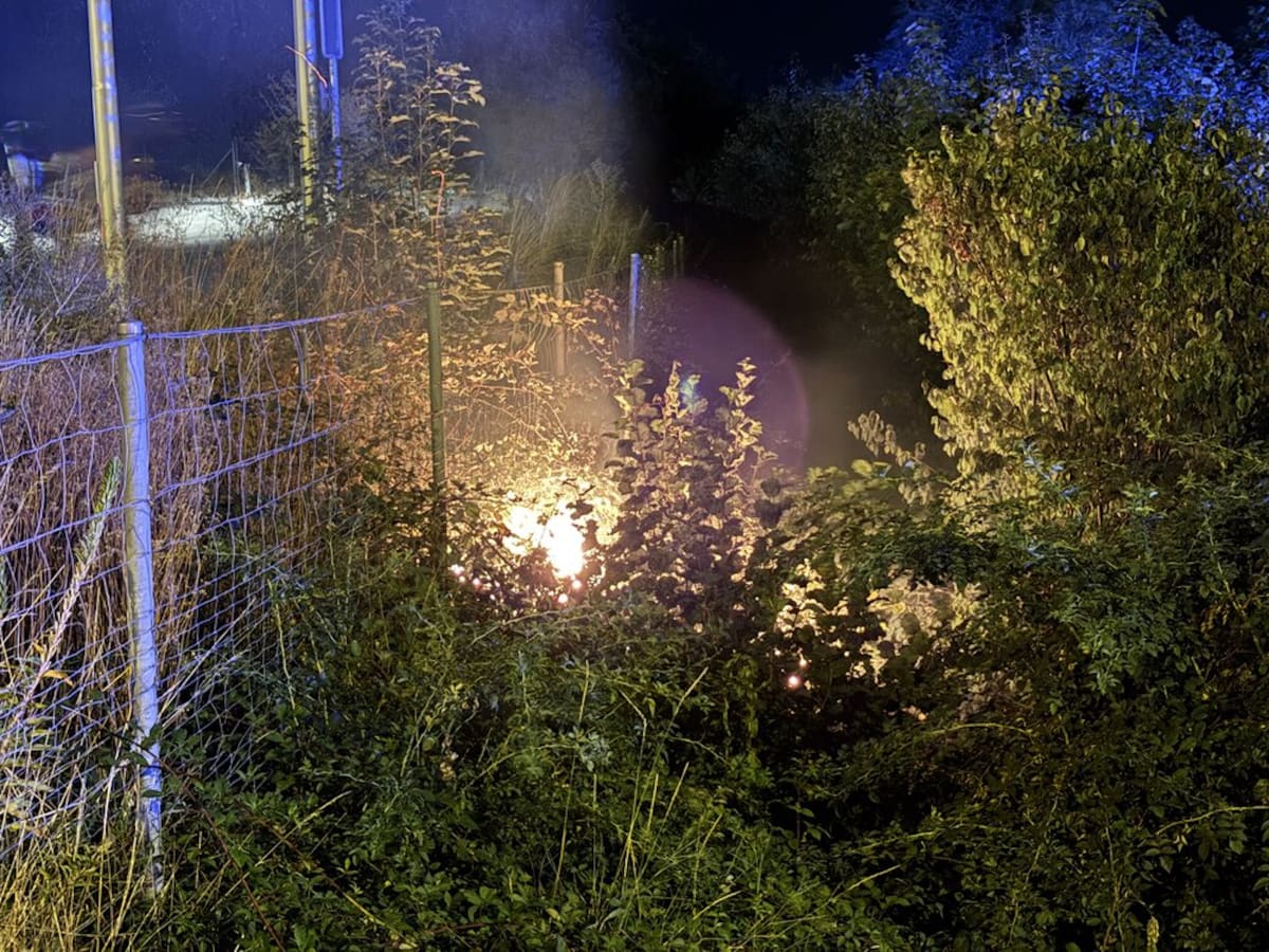Wil SG – Hecke bei Autobahnbrücke in Brand geraten