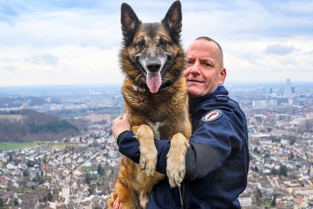 Arlesheim BL – Diensthund Gio stellt Einbrecher auf frischer Tat