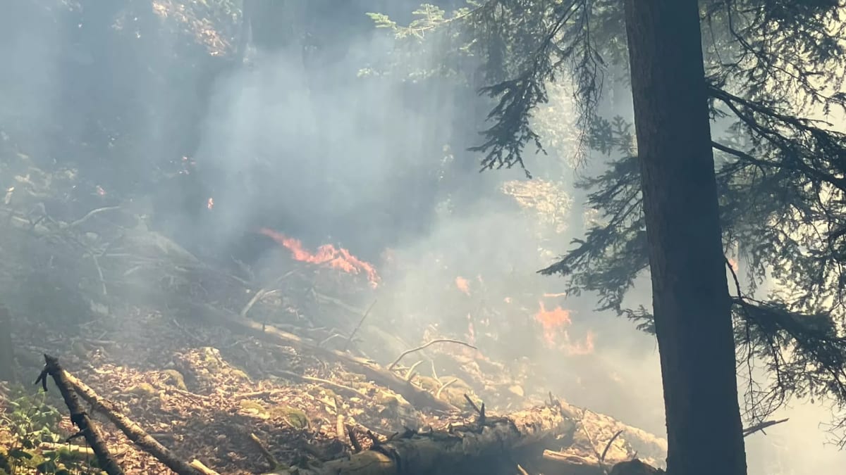 Waldbrand bei Les Roches-de-Moron NE noch nicht unter Kontrolle