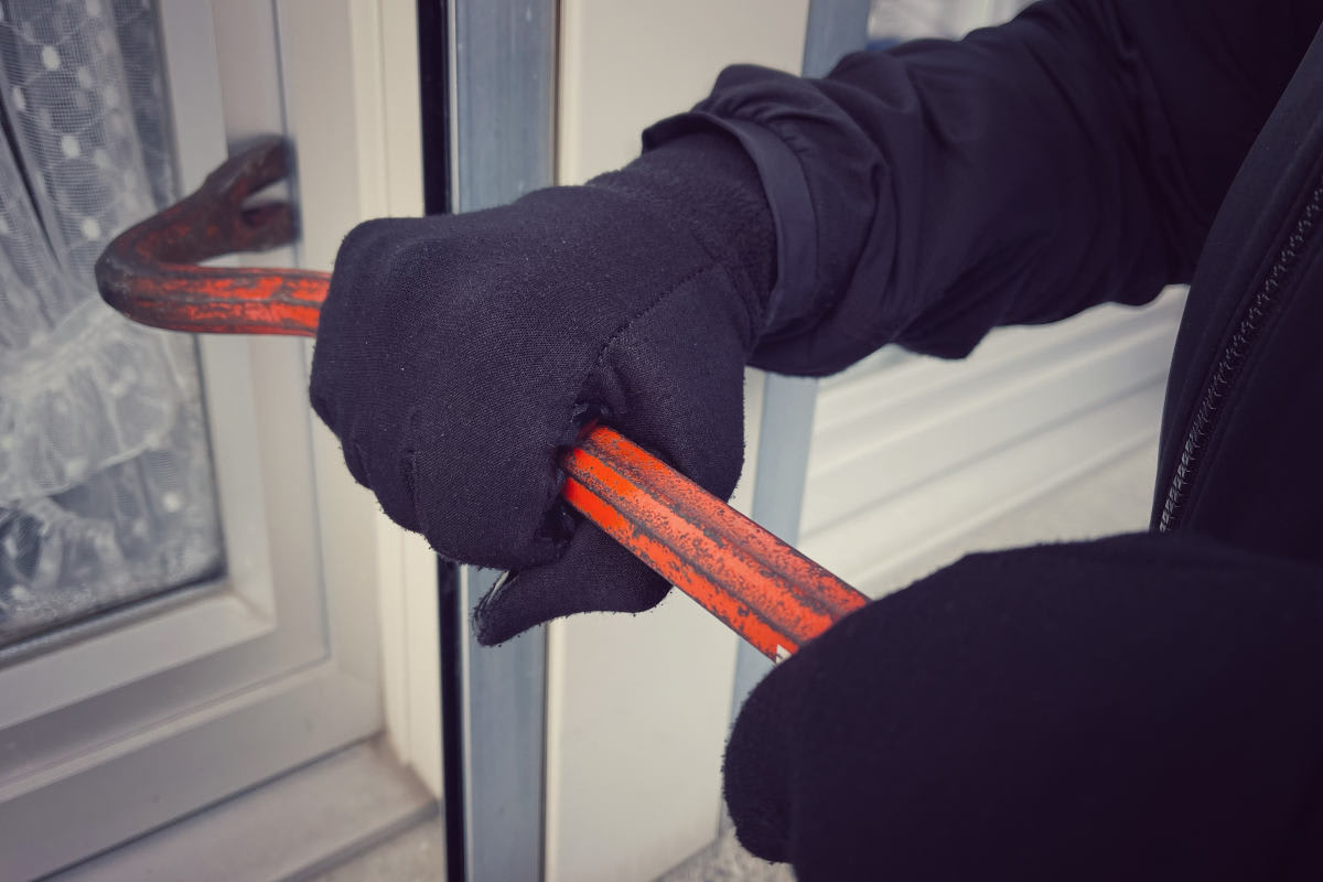 Herisau AR – Polizei fasst flüchtenden Einbrecher mithilfe von Diensthund