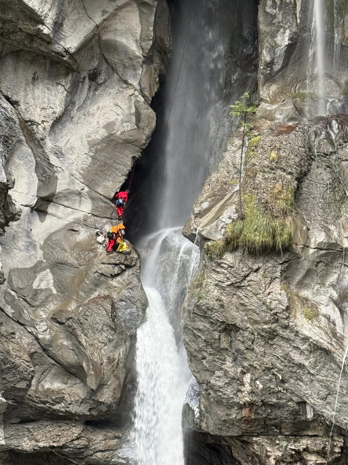 Kiental BE – Drei abgestürzte Rinder aus Griesschlucht geborgen