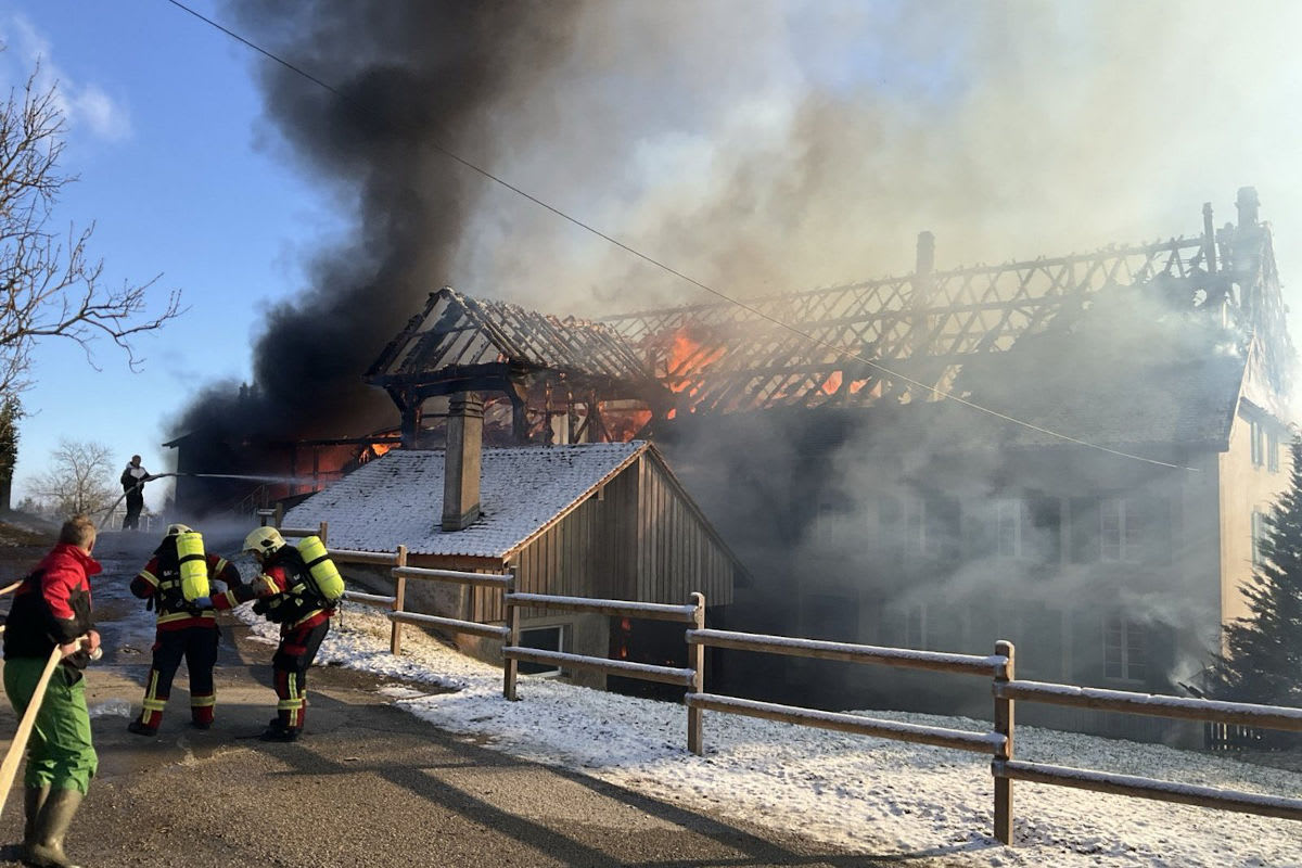 Peney-le-Jorat VD – 30 Rinder bei Brand verendet