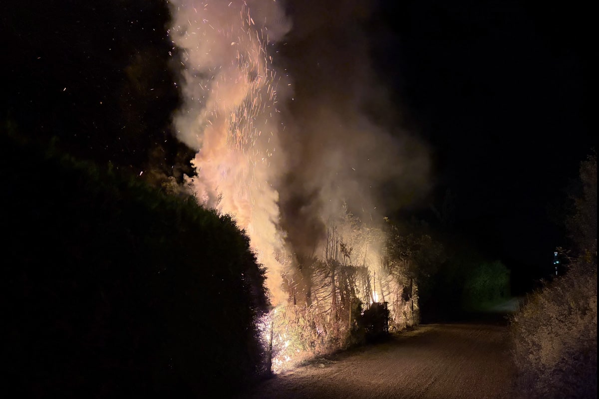 Bollingen SG – Heckenbrand am Seeufer verursacht Sachschaden