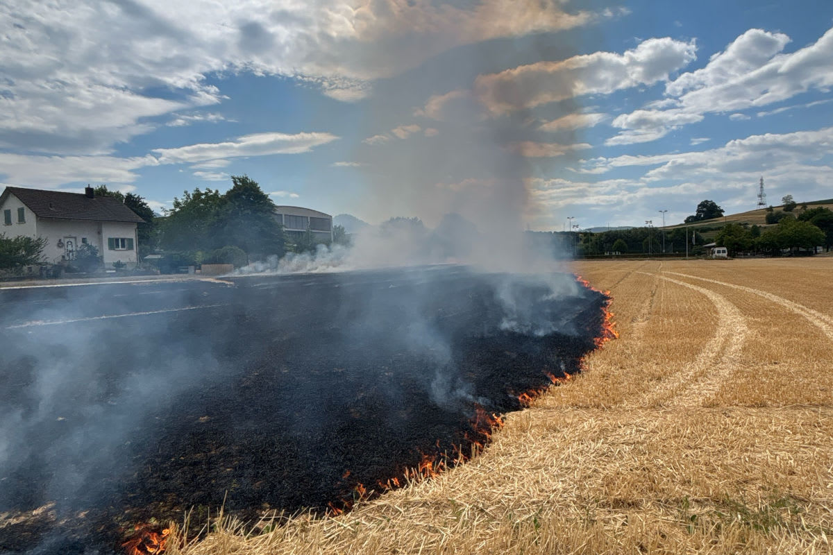 Breitenbach SO – Getreidefeld gerät in Brand