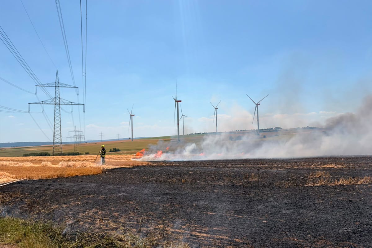 Heimbach – 20.000 Quadratmeter Feld bei Brand zerstört