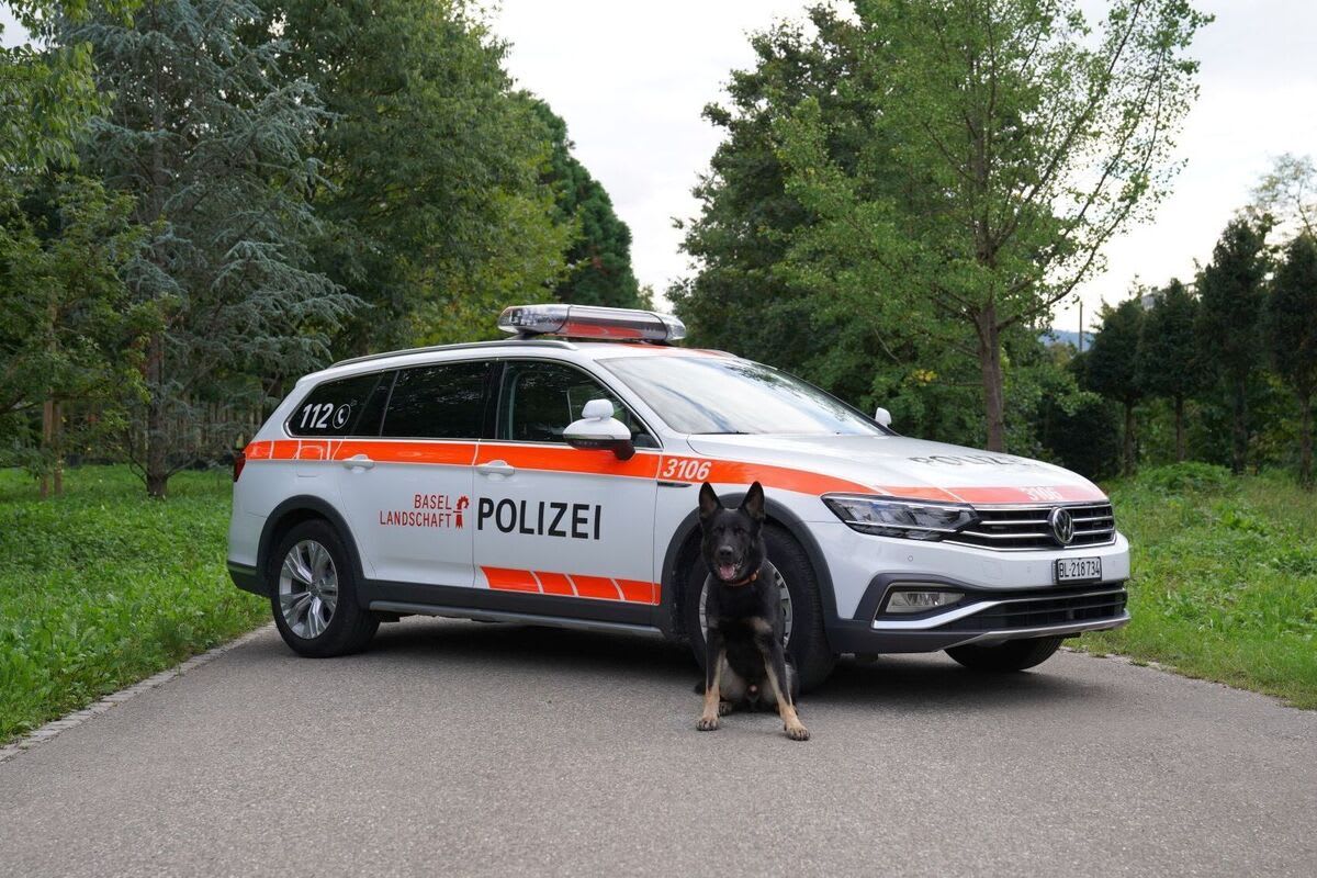 Aesch BL - Diensthund «Ares» hilft einen Einbrecher zu verhaften 