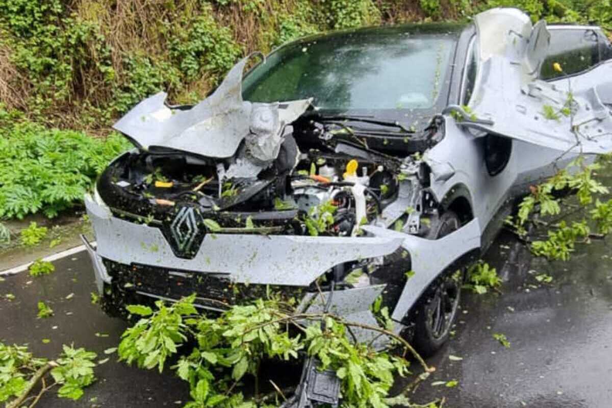 Wetter (Ruhr) - Umgestürzter Baum löst Feuerwehreinsatz aus 
