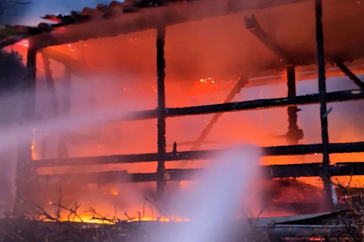 Bizau – Unbekannter setzt Bienenhaus in Brand