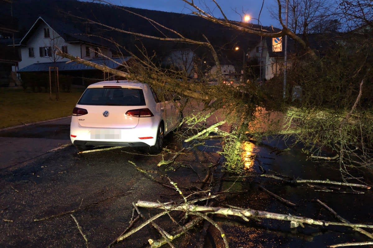 Kanton Solothurn - Sturmtief «Sabine» – Bilanz der Kapo Solothurn