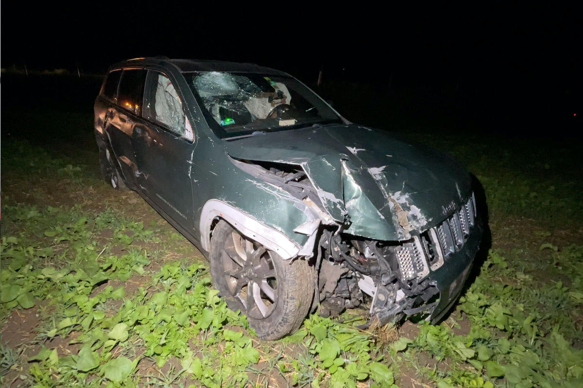 A1 / Niederbipp SO - Mit Auto Wildschutzzaun durchbrochen