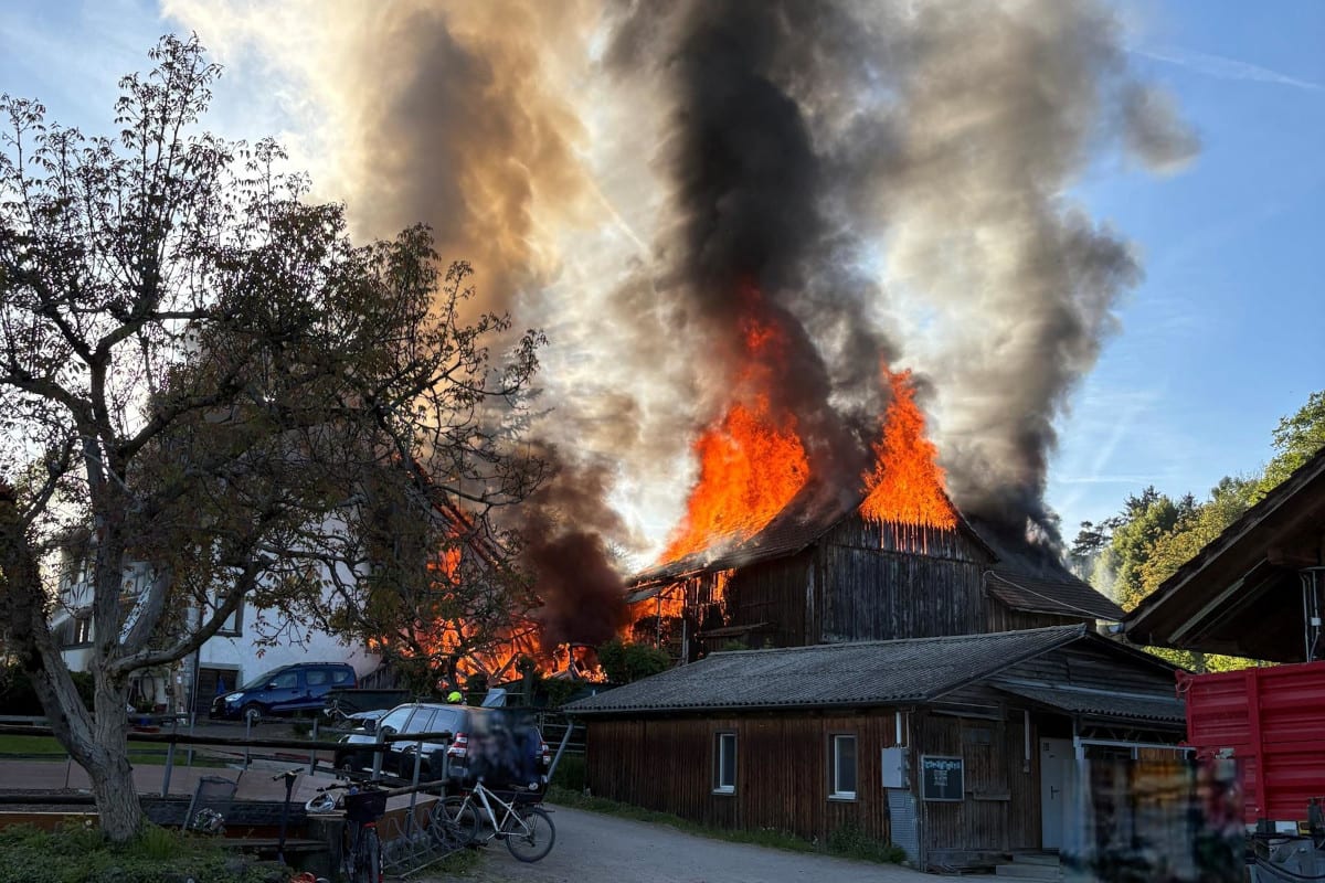 Brand in Hombrechtikon ZH – Reithof durch Feuer beschädigt