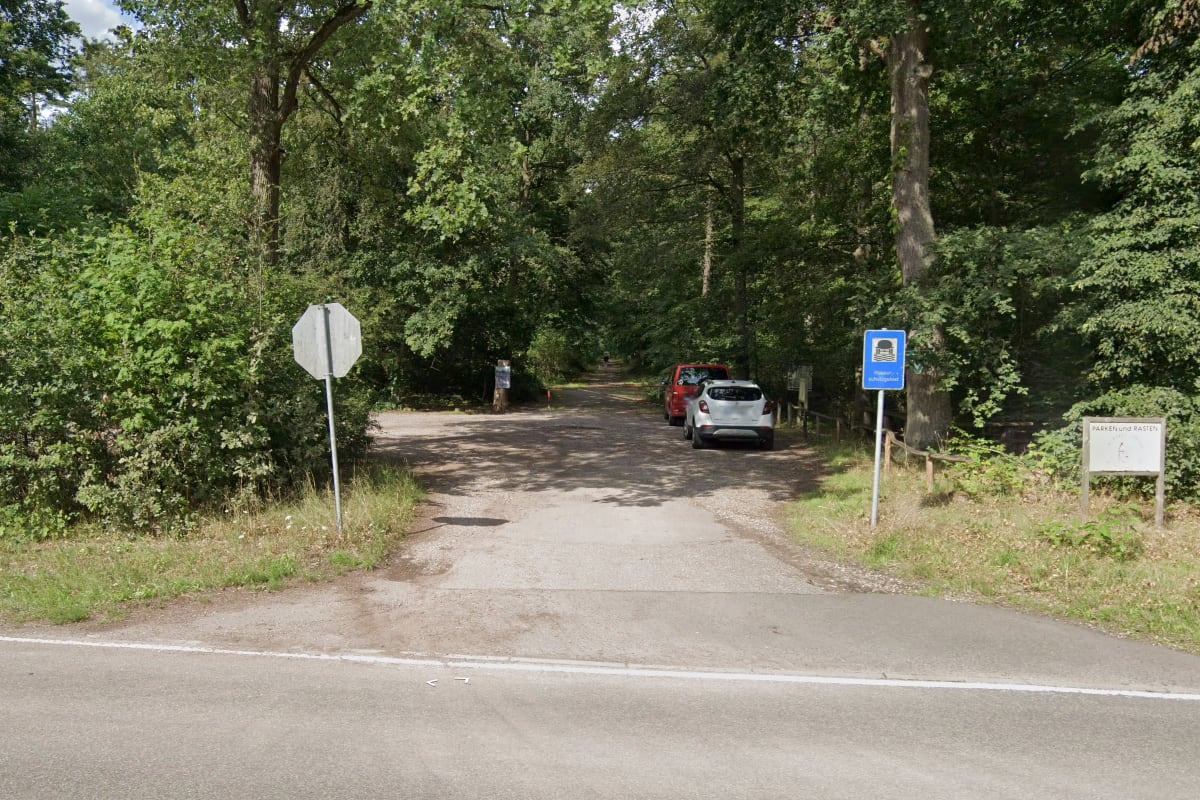 Speyer – Schusswaffen und Munition in Grünfläche gefunden
