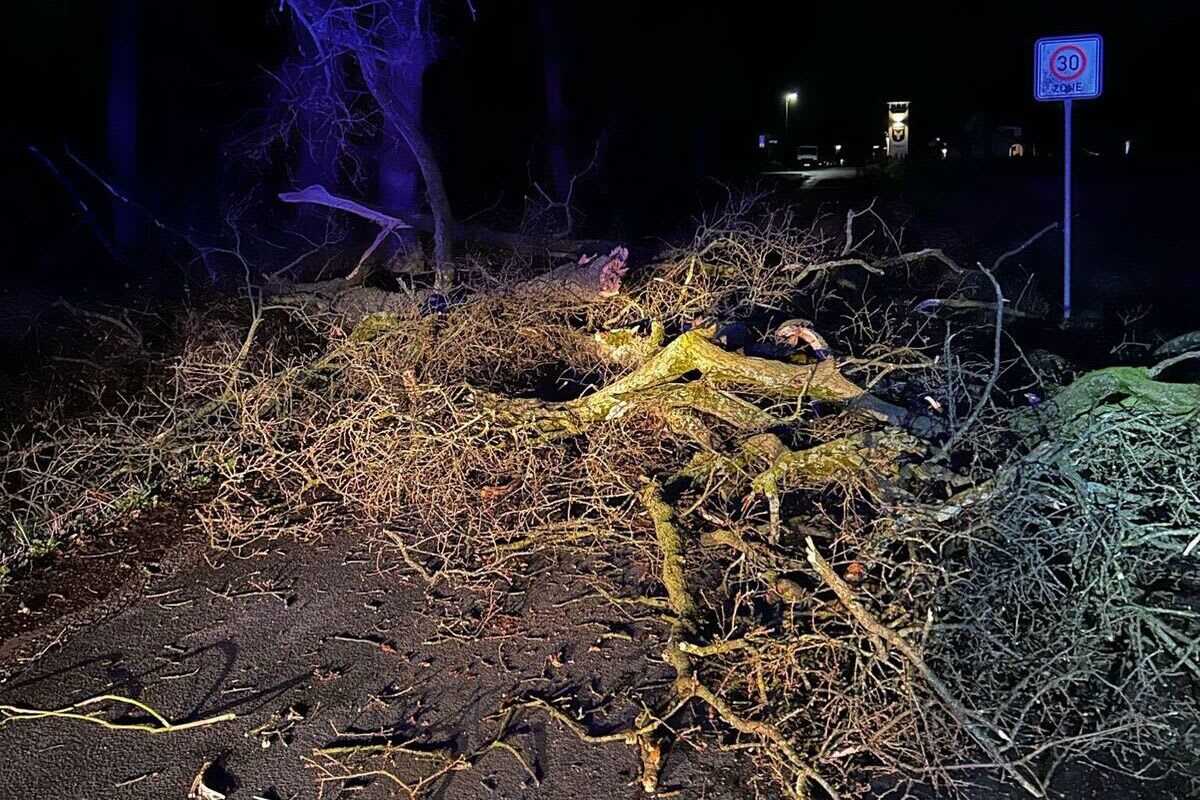 Sturm in Schermbeck NW - Baum auf die Fahrbahn gestürzt 