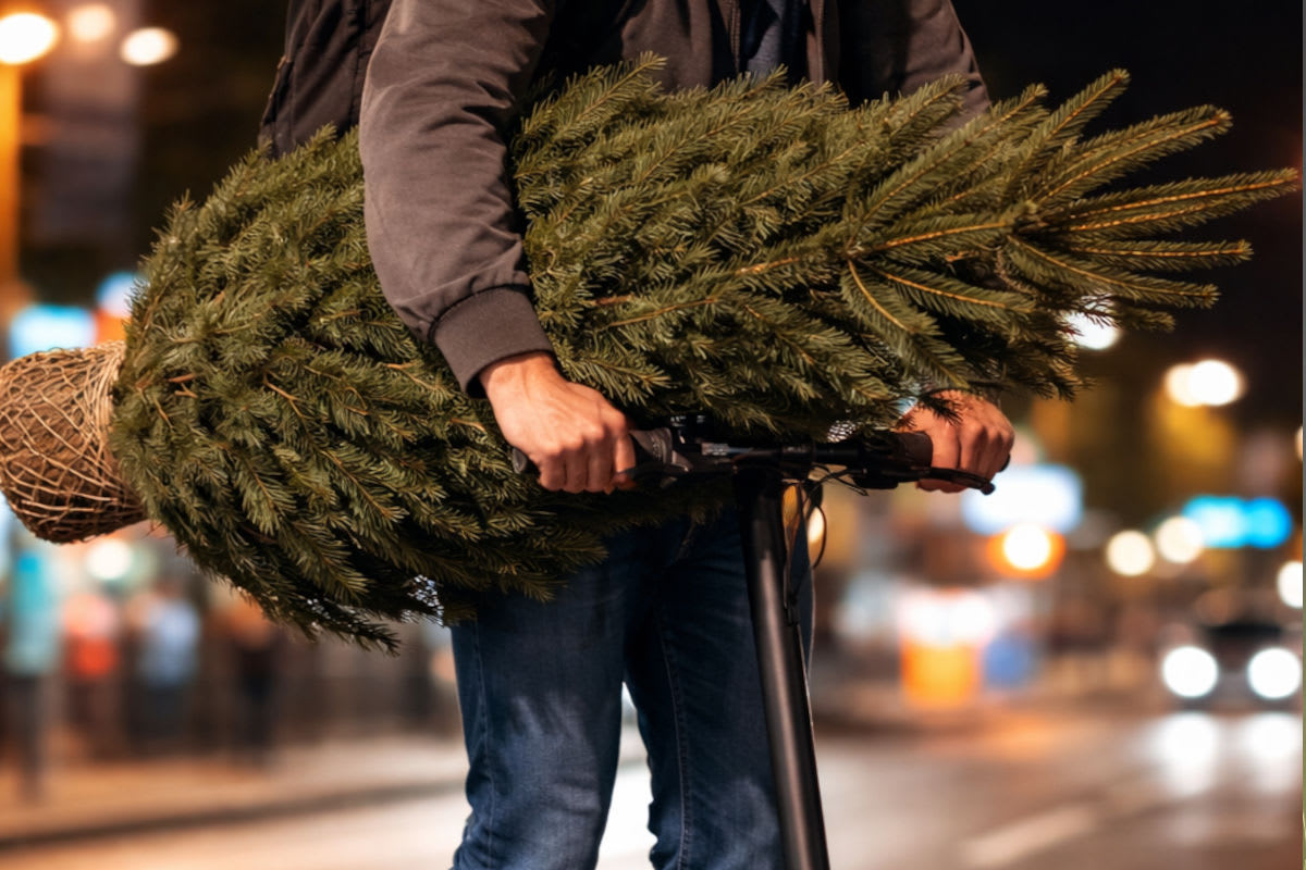 Kuriose Kontrolle in Mondsee – Weihnachtsbaum auf Scooter