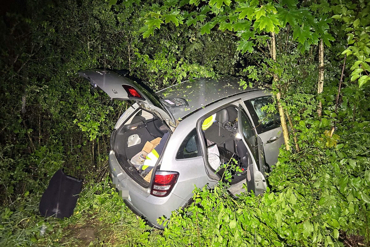 Rheinfelden AG – Auto landet nach Irrfahrt im Gebüsch