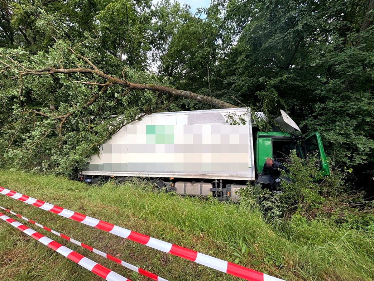 Rockenhausen – LKW fährt bei Unfall in Waldstück