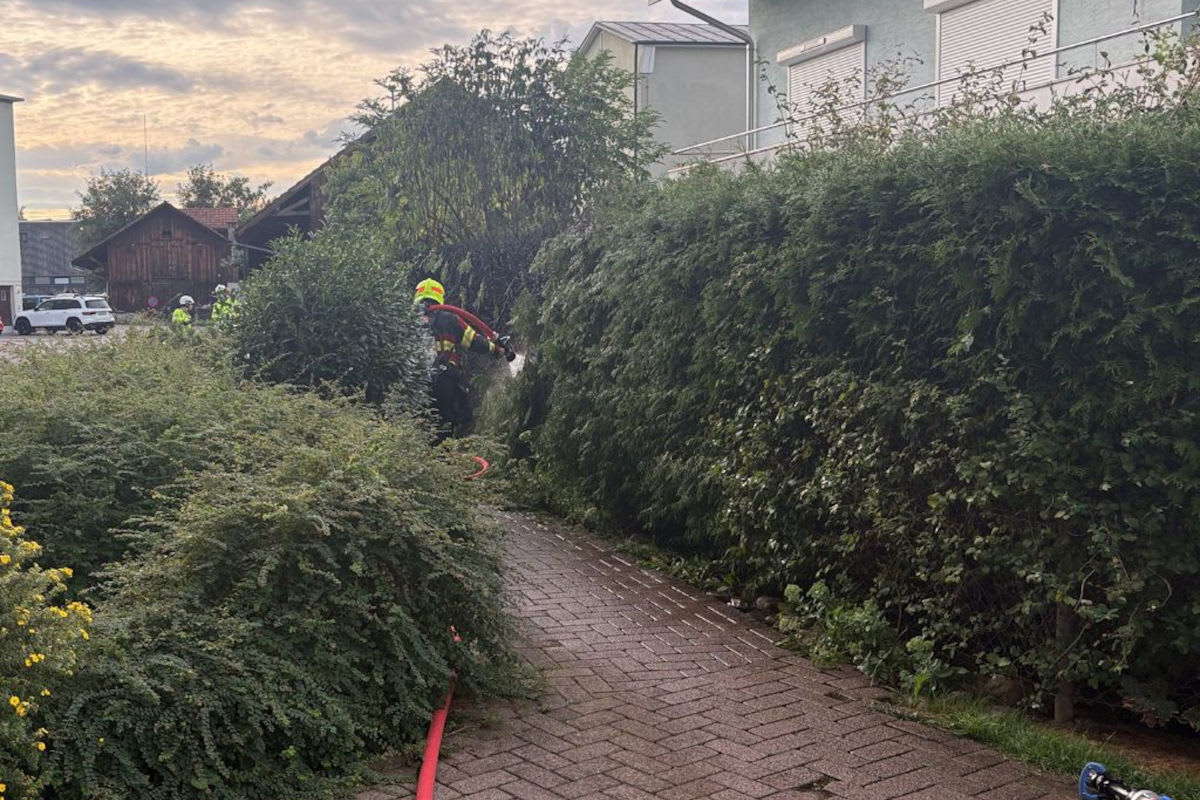 Flawil SG – Hecke bei Gartenarbeiten in Brand geraten
