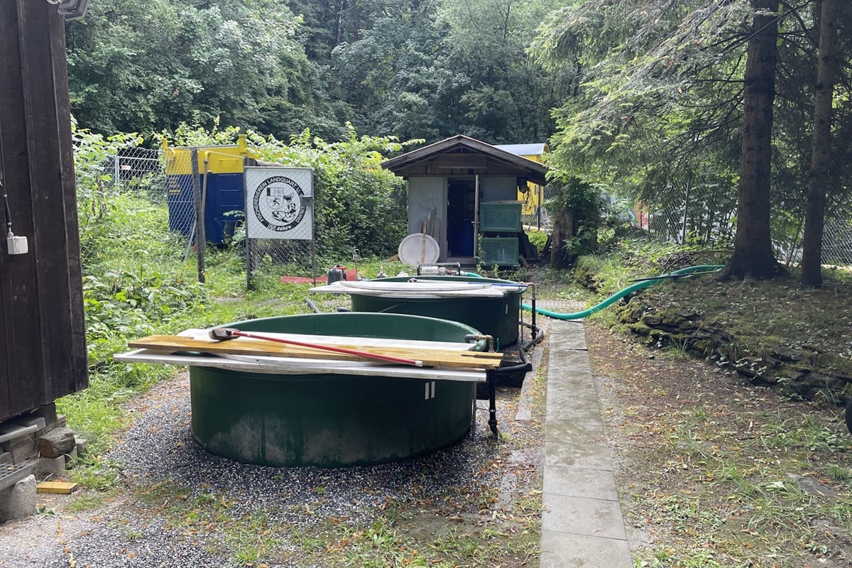 Nach Einbruch in Malans GR – Über 6'000 Fische in Zucht verendet