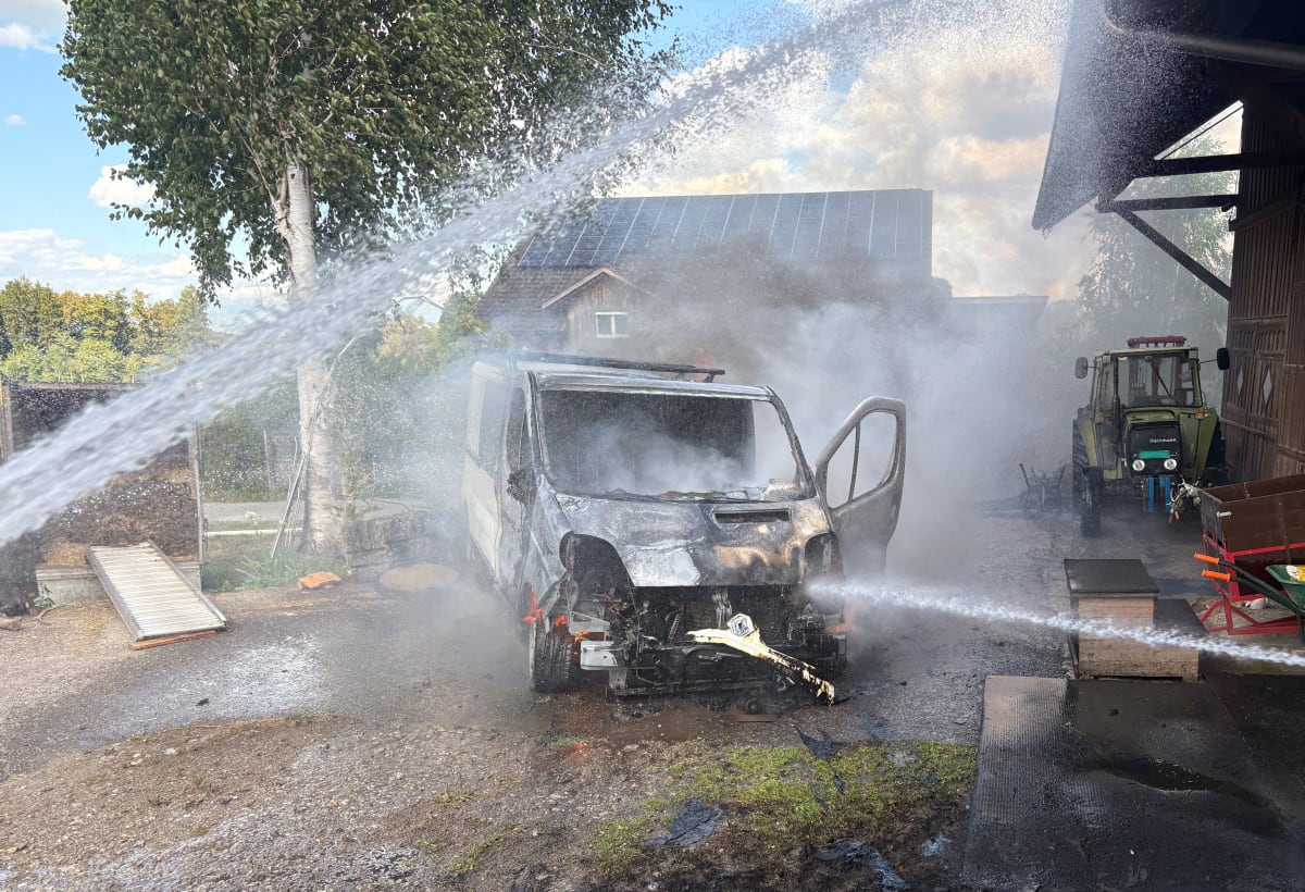 Schweizersholz TG – Lieferwagen gerät in Brand 